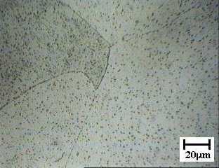 Capítulo V Caracterização Microestrutural e de Microdureza 103 P α Figura 5.28.