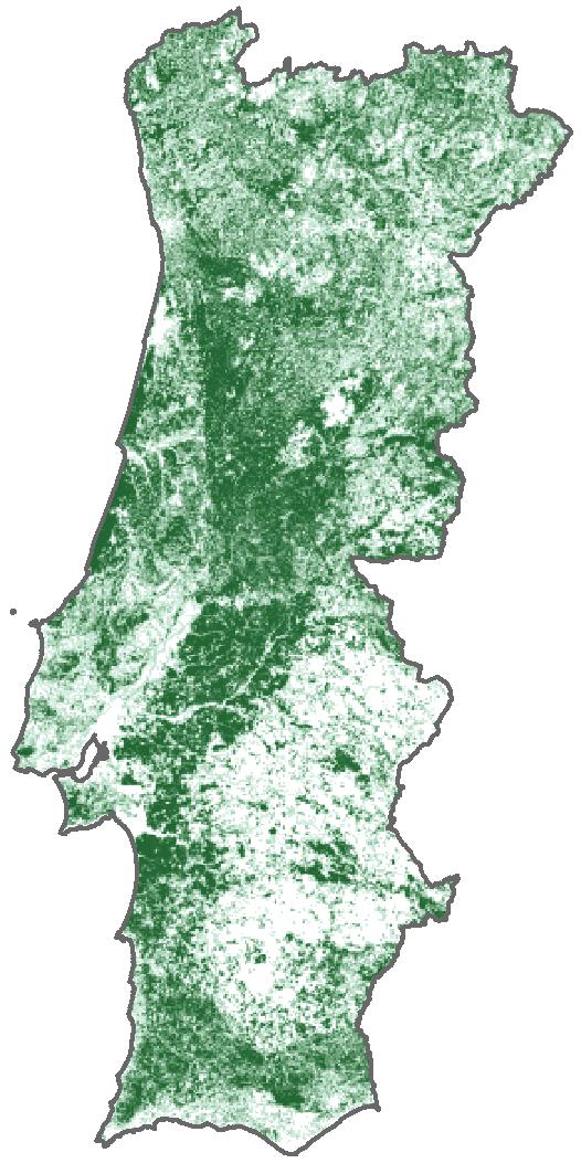 A principal razão do menor número de classes da COS2015 quando comparada com a COS2010 Florestas de folhosas Florestas de sobreiro Florestas de azinheira Florestas de outros carvalhos Florestas de