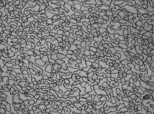 58 A micrografia após ataque eletrolítico obtida para o dúplex, disponível na Figura 23, indica microestrutura de matriz ferrítica com ilhas de austenita conforme esperado para esta classe de