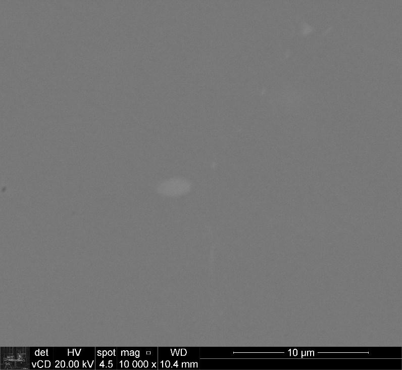 64 varredura com elétrons retroespalhados na amostra de 254 SMO polida sem ataque químico. Observou-se então a presença de precipitados mais claros, conforme pode ser visto na Figura 31.
