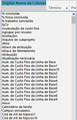 Novos campos de custo e trabalho Planejar e controlar informações