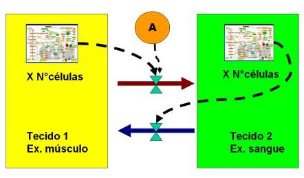 Profundidade da descrição do(s) mecanismo(s) utilizado(s) Deterministas x Probabilísticos