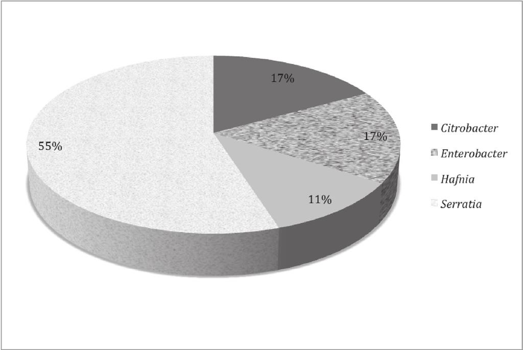 PESQUISA Figura 1 - Percentual de incidência de enterobactérias identificadas nas amostras de ovos contaminados. na transmissão de Salmonella spp.