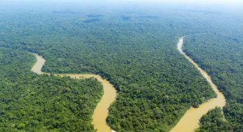 4º A Floresta Amazônica brasileira, a Mata Atlântica, a Serra do Mar, o