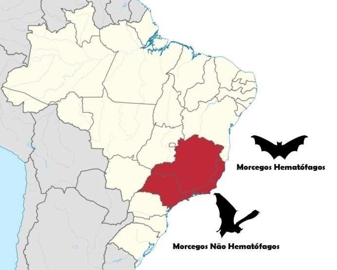 Figura 4 Mapa da região sudeste destacando o maior número de casos de raiva em morcegos hematófagos e não hematófagos.