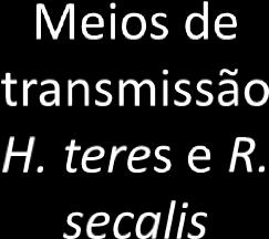 e atinge a espiga Na espiga, uma massa negra esporos