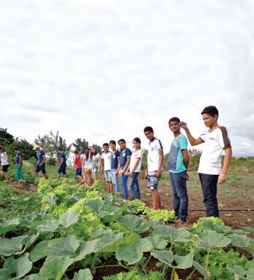 Chamou a atenção da turma o modelo de cultura praticado e a relação dele com a agroecologia.