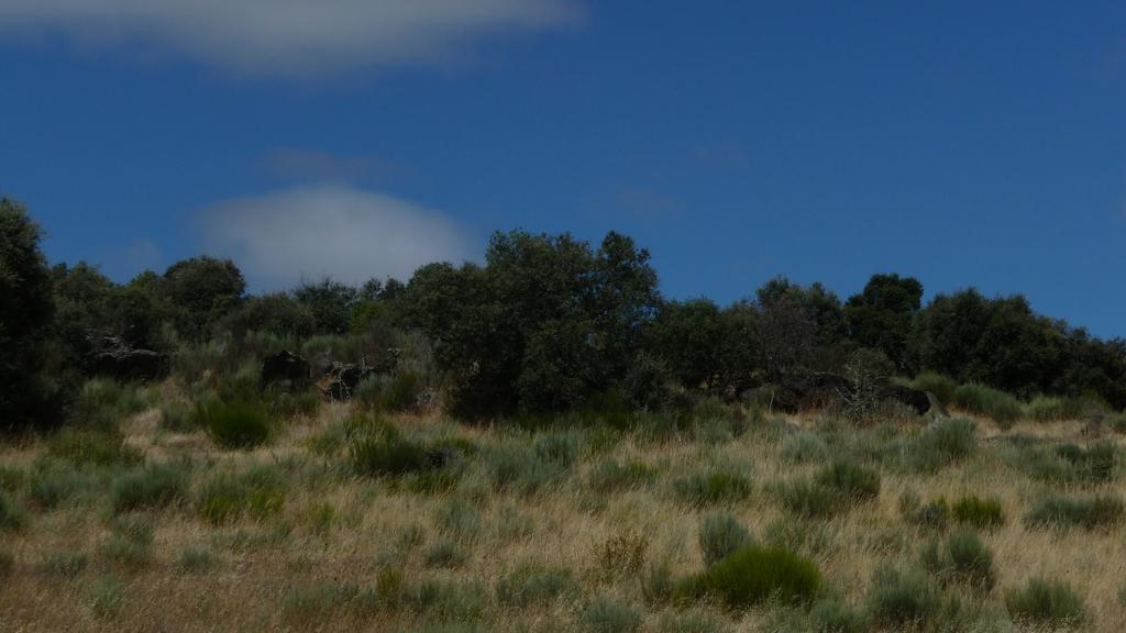 Na zona mais próxima da Granja, foram ainda visualizadas as superfícies