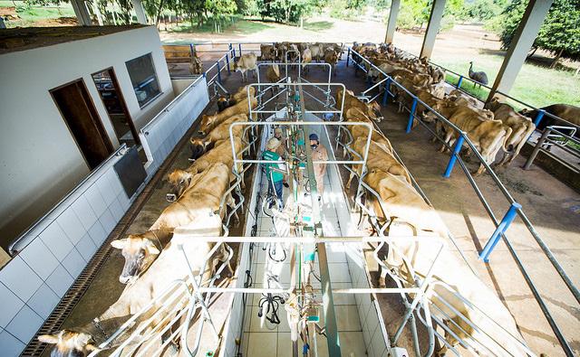 Com altas do concentrado e dos adubos, COE volta a subir Por Caio Monteiro e Ivan Barreto CUSTOS DE PRODUÇÃO Após registrar leve queda em agosto, o custo de produção da pecuária leiteira voltou a