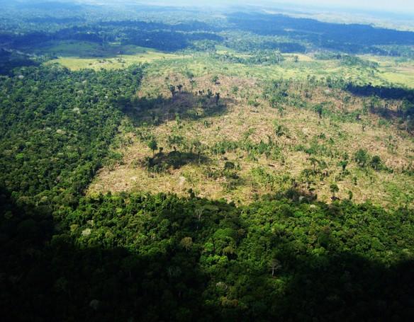 Amazônica