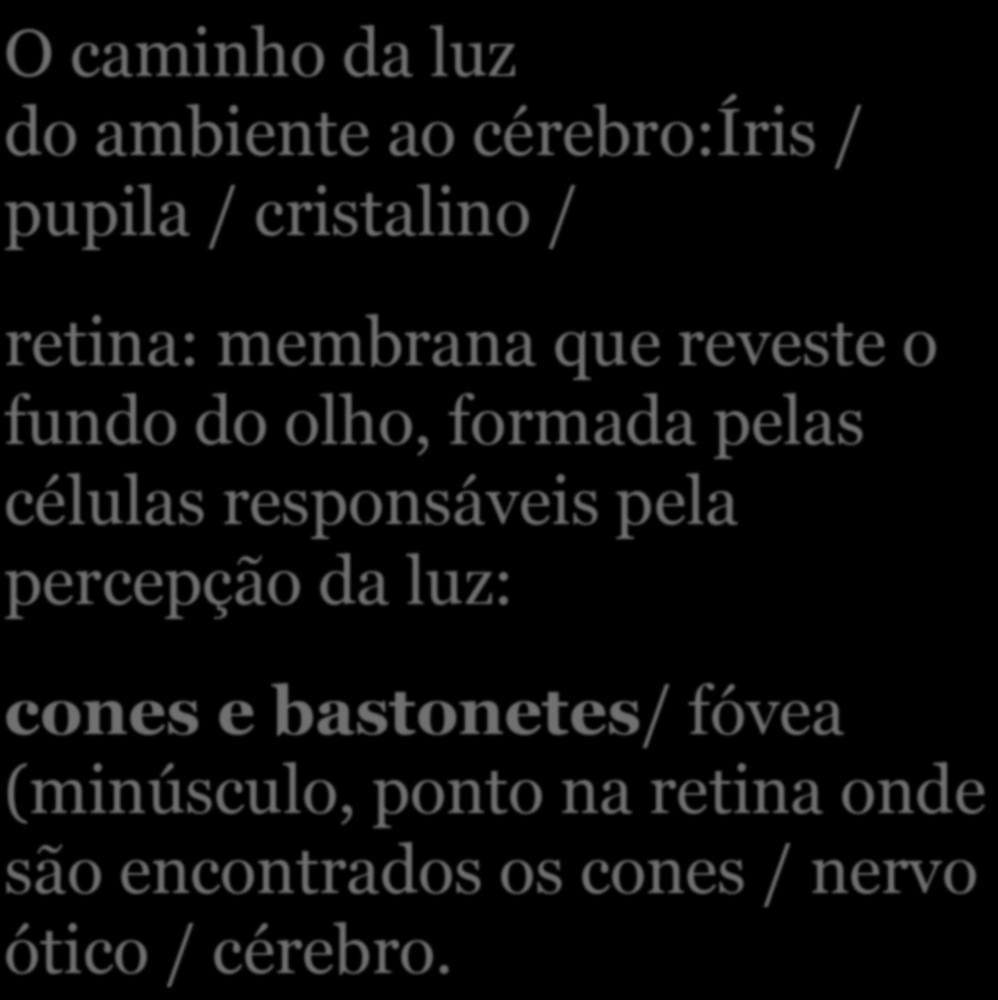 O Olho Humano O caminho da luz do ambiente ao