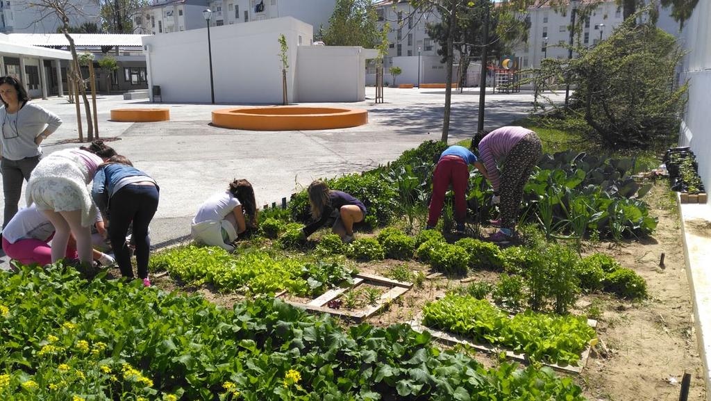 A Biodiversidade no Prato A presente proposta de trabalho integra-se no projeto Mochila Verde, implementado pela Agência de Energia e Ambiente Lisboa E-Nova e a Câmara Municipal de Lisboa, que