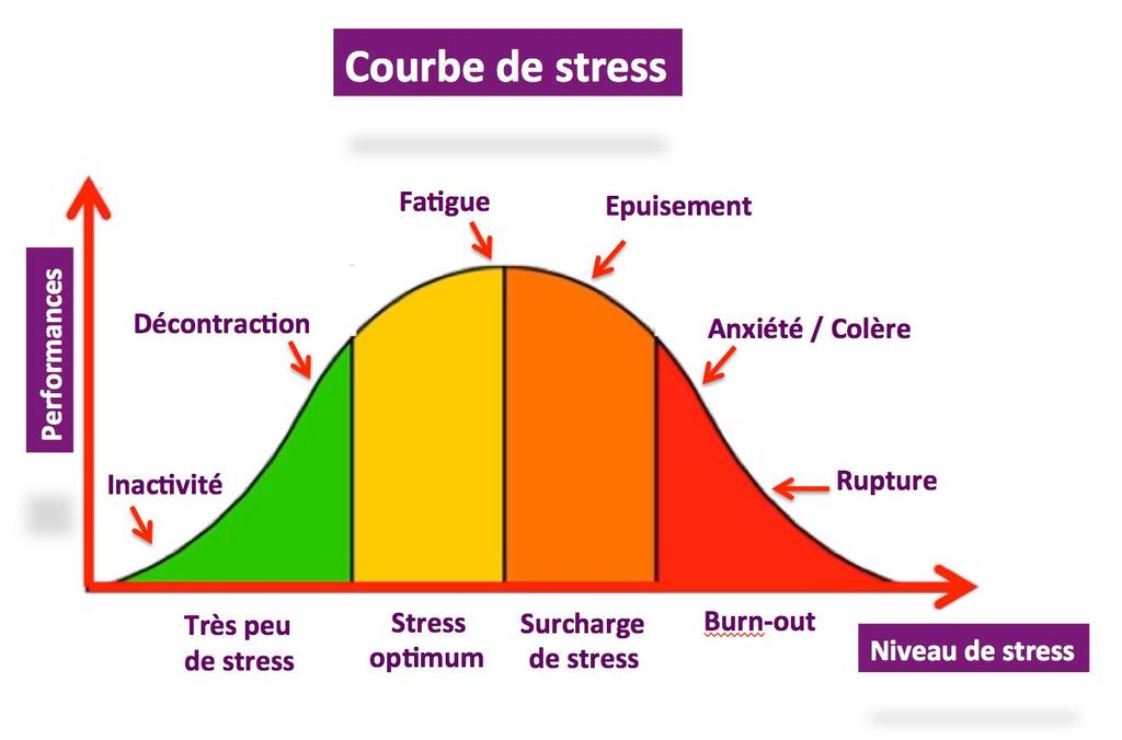 Performance Evolução do nível de Performance com o nível de Stress Fadiga Exaustão Descontração Ansiedade / Cólera Inatividade
