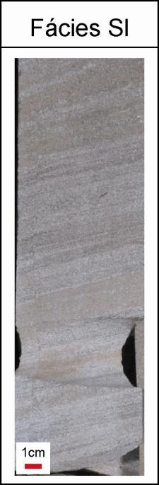 Presença de grânulos e seixos de quartzo e feldspato, com até 1,5 cm, subangulosos a angulosos, dispersos ou na base formando lags erosivos, por vezes se observam níveis mili- a centimétricos de
