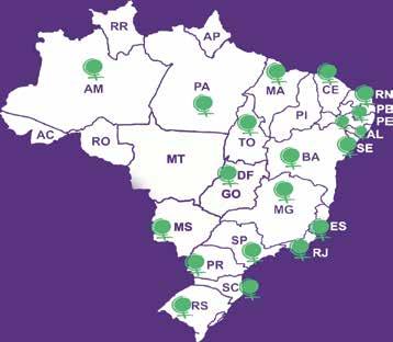 COMO NOS ORGANIZAMOS NO BRASIL Atualmente, a MMM está organizada em 20 estados no Brasil. Nos organizamos em núcleos e comitês, nas cidades e estados, e há duas maneiras para participar.