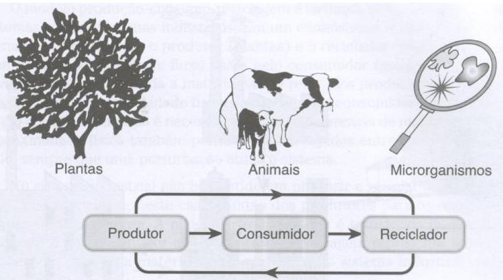 Ecologia