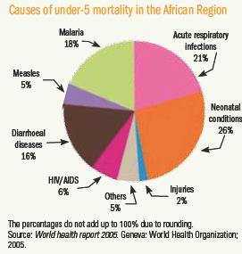 Causas de morte em crianças menores de 5 anos em África
