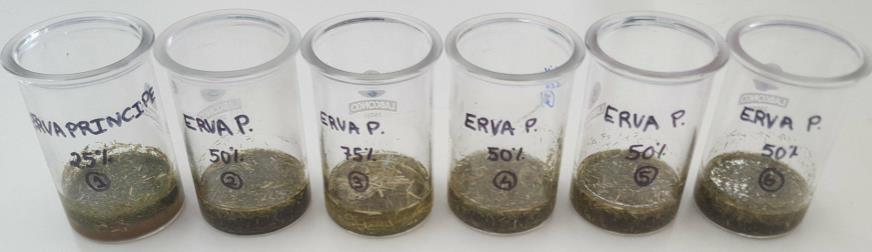 3. Extração sólido-líquido Materiais: o Erva-príncipe (matéria-prima) o 6 copos de vidros o Espátula o 1 proveta o 6 Frascos o Eppendorfs o Suporte para eppendorfs o