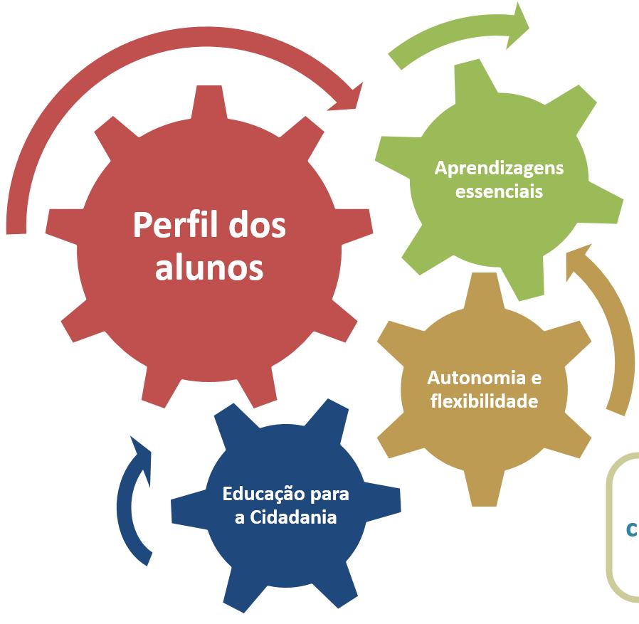 WORKSHOP ENSINO SECUNDÁRIO TESTEMUNHO DE PRÁTICAS AUTONOMIA E FLEXIBILIDADE CURRICULAR, APRENDIZAGENS ESSENCIAIS E PERFIL DOS ALUNOS DESAFIOS PARA O ENSINO DAS CIÊNCIAS