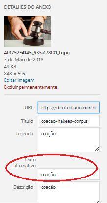 O título da imagem deve descrevê-la apenas pelo nome do arquivo, separada por hífen. Preencha o campo de texto alternativo (alt text) com a palavra-chave do texto.