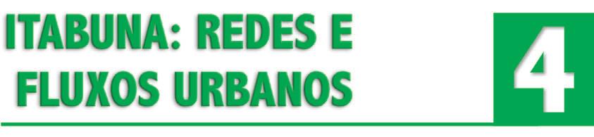 Lurdes Bertol Rocha - Maria Palma Andrade ITABUNA NA REGIÃO CACAUEIRA... 13 A FORMAÇÃO ÉTNICA... 18 Os índios...18 Os negros...19 Os brancos...20 Gilmar Alves Trindade AS REDES.