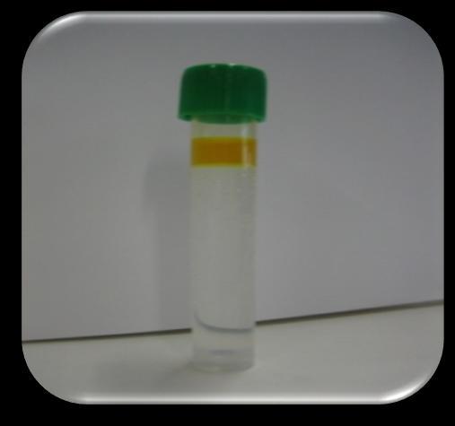 Materiais e Métodos Preparação das nanodispersões de β-caroteno em n-hexano 0.3 % m/m de β-caroteno em n- hexano; 0.