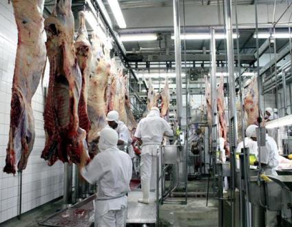 NR 36 SST em Empresas de Abate e Processamento de Carnes e