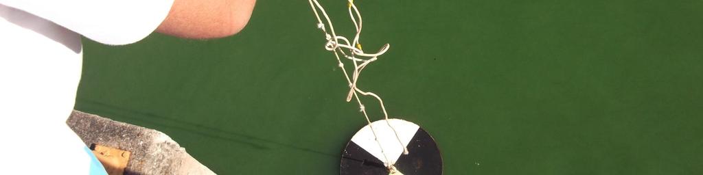 fator 3 (três) mais comum no Brasil. O disco de Sechi utilizado possui 30 cm de diâmetro (Foto 1), em material de aço com uma corda de 2 m de comprimento que puxa o disco na vertical (ESTEVES, 2011).