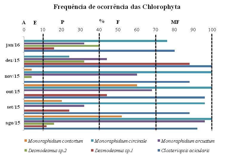 60 observados. Das seis espécies, a que apresentou maior freqüência foi a Closteriopsis acicularis, que se manteve constante em todas as amostras analisadas.