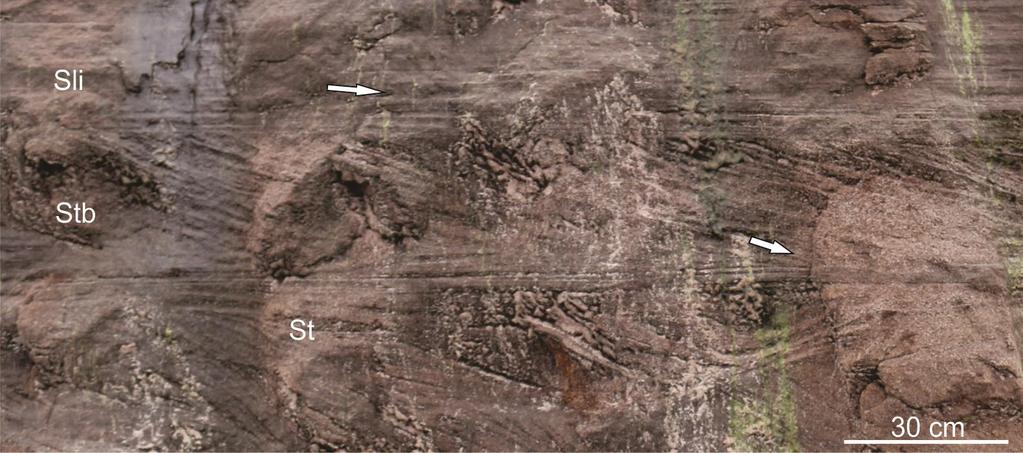 moderadamente selecionada, com estratificação cruzada tangencial na base. A fácies Stb ocorre geralmente associada às fácies Sli, St e lateralmente à fácies Ssg (Figura 19).