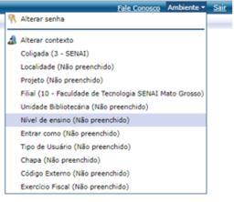 A janela Assistente de configuração de ambiente, será