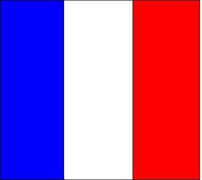 centro de idiomas V Em que modalidade (s) o idioma francês é ofertado na instituição ( ) SIM ( ) NÃO ( ) SIM ( ) NÃO ( ) Presencialmente ( )