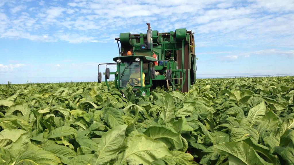 2 Ambiente fatores externos à planta de soja 5