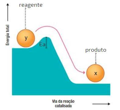 Contato biologia, 1º ano.