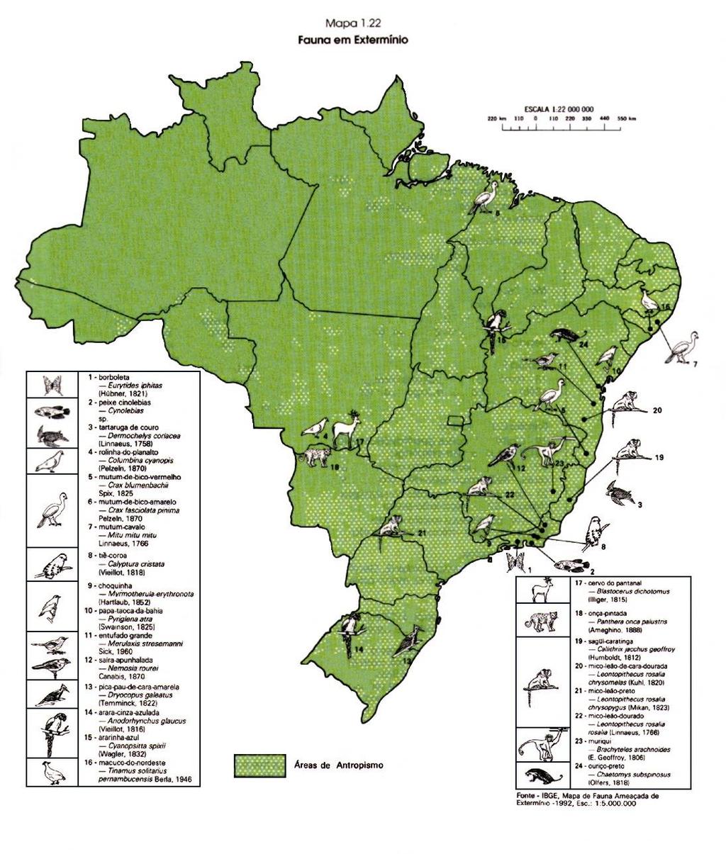 Exemplo de mapa temático representado com