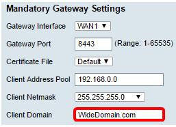 Incorpore o Domain Name do cliente ao campo do domínio do cliente. Este será o Domain Name que deve ser empurrado para clientes VPN SSL.