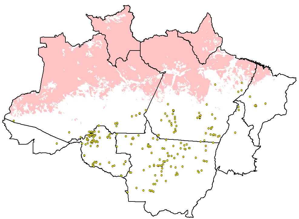 1.1) Mapa dos alertas do Deter no mês 05/2011: obs: as nuvens correspondem aos polígonos em rosa