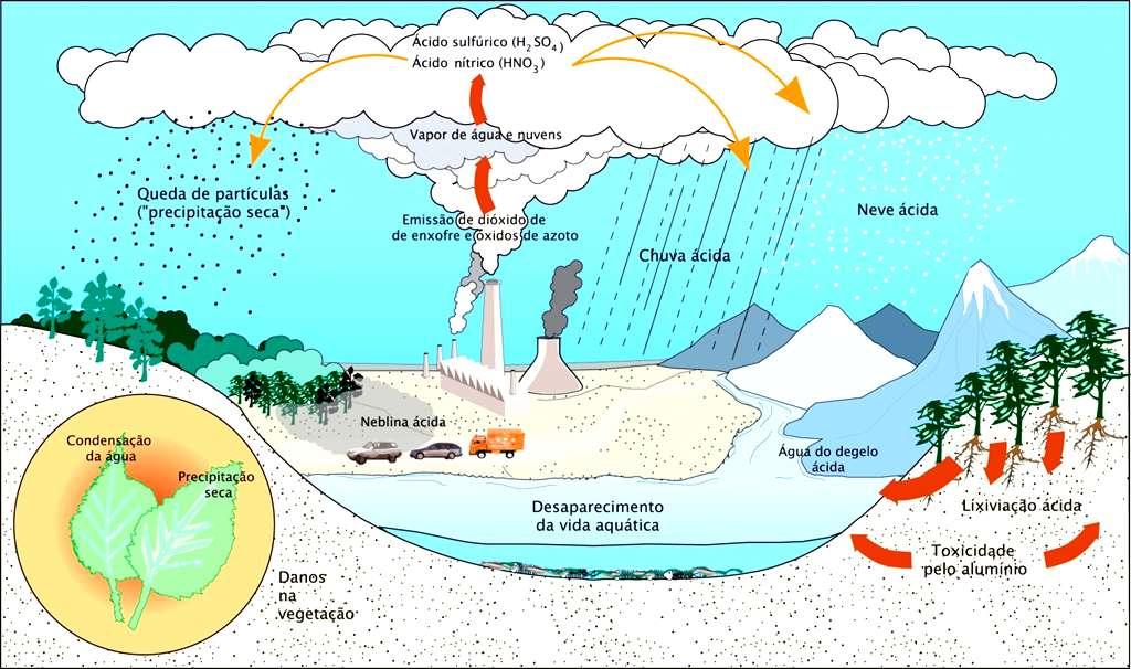 Quais são os principais impactes das chuvas ácidas? As partículas ácidas (NOx, SOx, CO2 e outros compostos) combinam-se com a água e originam precipitações ácidas.