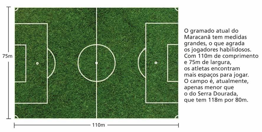Copa no país), esta será a primeira vez que o campo de jogo será reduzido, medida esta determinada pela FIFA, que padroniza os tamanhos dos gramados para o Mundial.