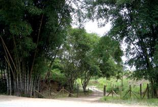 situação e ambiência A casa-sede, com sua planta retangular,