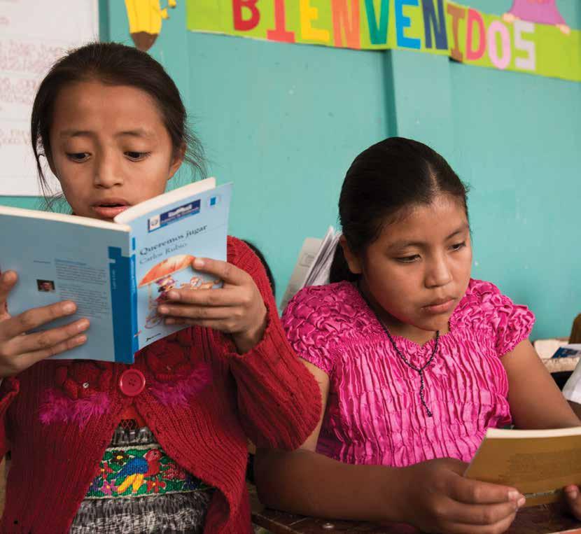Projeto de destaque ALFABETIZAÇÃO NA GUATEMALA Desde 1997, o Rotary e a organização Cooperative for Education implementaram mais de 250 programas de alfabetização em escolas rurais da Guatemala.