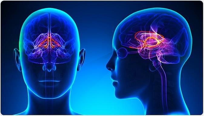 GEN III Grupo de Estudos em Neurometria Discussão de Casos Clínicos Queixas: O paciente veio com muita angustia, tristeza, não estava conseguindo dar conta das