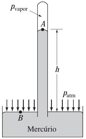 Barômetro A coluna de mercúrio alcançará uma posição de equilíbrio na qual o peso da coluna mais a força devida a pressão do vapor (que se desenvolve no espaço da coluna)