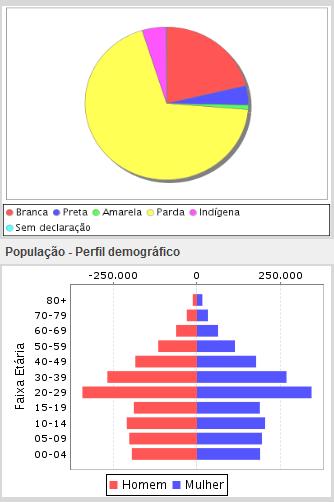 População por Etnia (2010), Sexo e Faixa Etária (2012) TABELA 1: POPULAÇÃO POR ETNIA, 2010 População Censo (2010) Quantidade % Branca 740.065 21,24 Preta 143.748 4,13 Amarela 31.773 0,91 Parda 2.399.