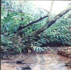 Navegação e Usina Localiza-se no trecho médio do rio Monjolinho, à jusante dos córregos Gregório e Mineirinho.