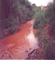 Ausência de vegetação ciliar. Localiza-se na área urbana, em frente a USP. Desemboca no rio Monjolinho à montante do ponto de coleta USP, no rio Monjolinho.