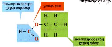 As Aminas As aminas são compostos orgânicos constituídos por carbono, hidrogénio e azoto.