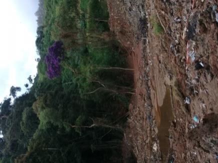 Figura 3: Vista de montante do deslizamento e trincas junto à escarpa. Fotos extraídas de Serviço Geológico do Rio de Janeiro (NADE/DRM-RJ, 2018).