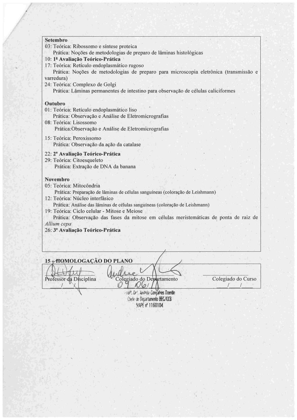 Setembro 03 : Teórica: Ribossomo e síntese proteica Prática: Noções de metodologias de preparo de lâminas histológicas 10: 1a Avaliação Teórico-Prática 17: Teórica: Retículo endoplasmático rugoso