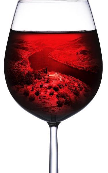 Vinhae sectordo vinho - Vinha é a cultura com maior consumo de produtos fitofarmacêuticos (Eurostat) - Custode1tratamentofitossanitárioMíldio+Oídio(RDD)- 100 /ha + 20-50 insecticida(traça-da-uva) 50